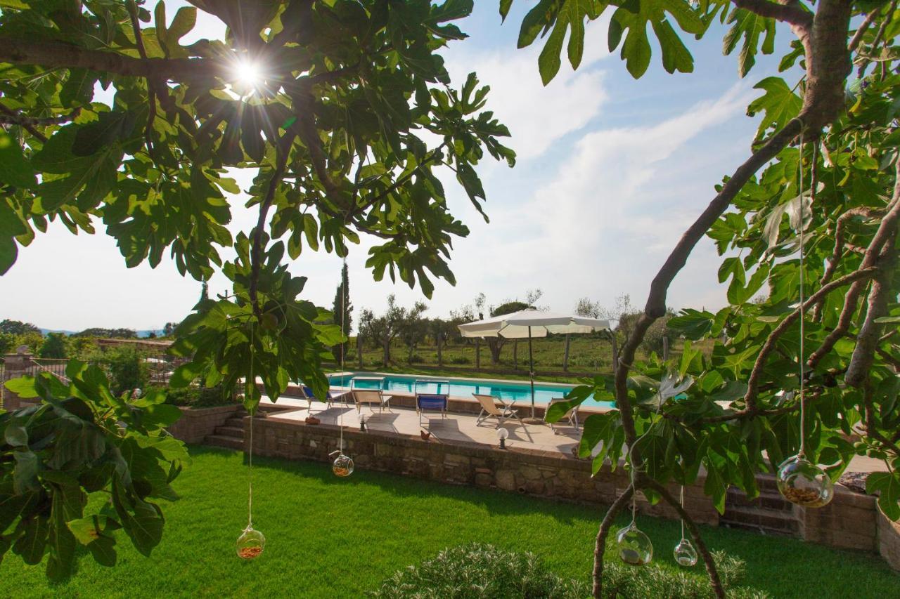 Ficolivo Bed & Breakfast Pitigliano Exterior photo